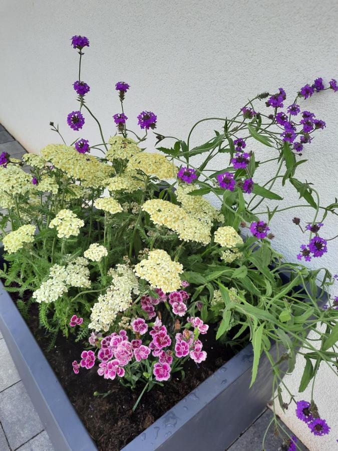 Apartments Bei Playmobil Eg,130M2,Grosse Terassen,24H Self Check-In, Free Parking Zirndorf Exterior photo